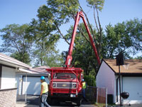 Tree Service Crane